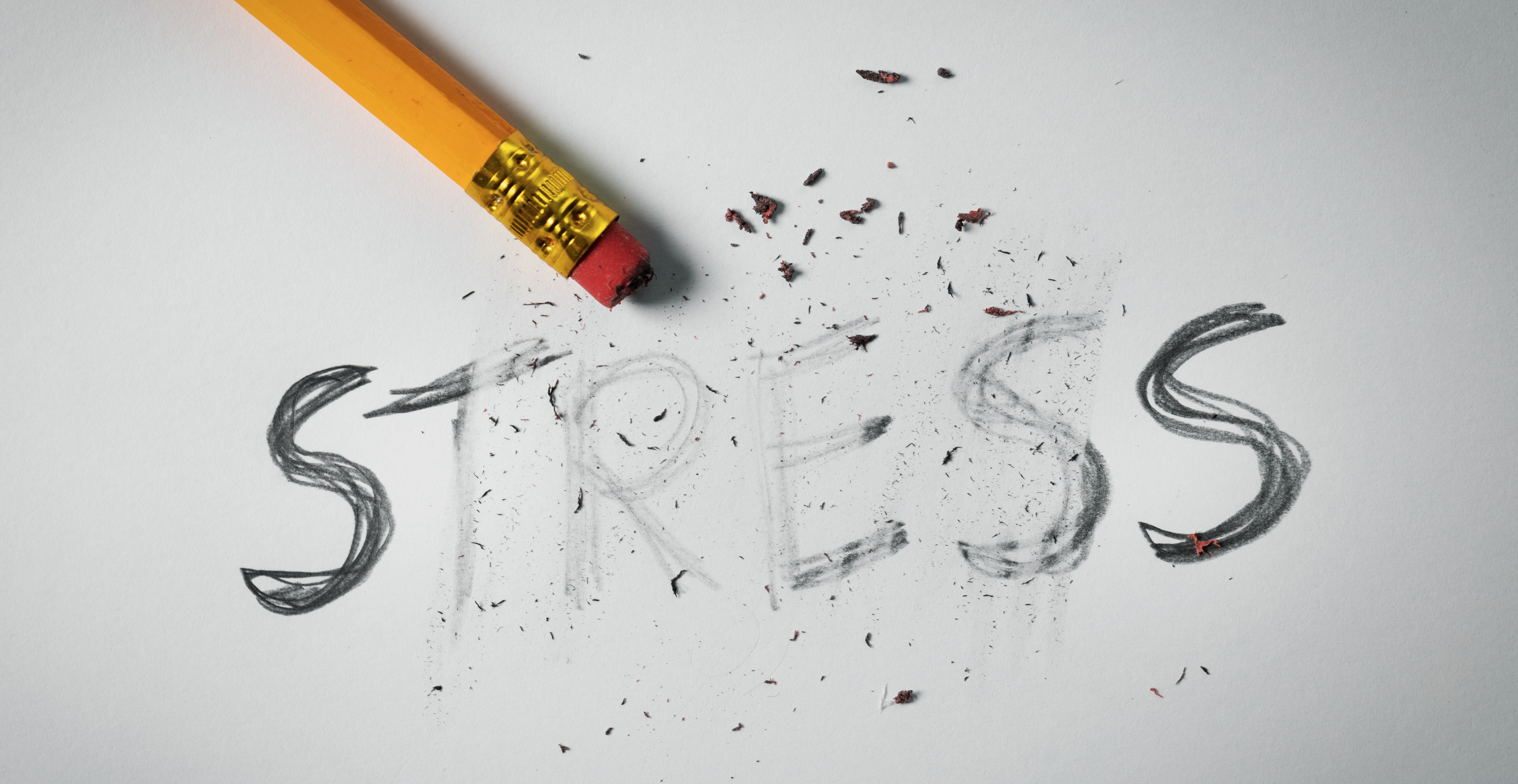 Captura de Pantalla 2023-03-24 a les 8.53.14